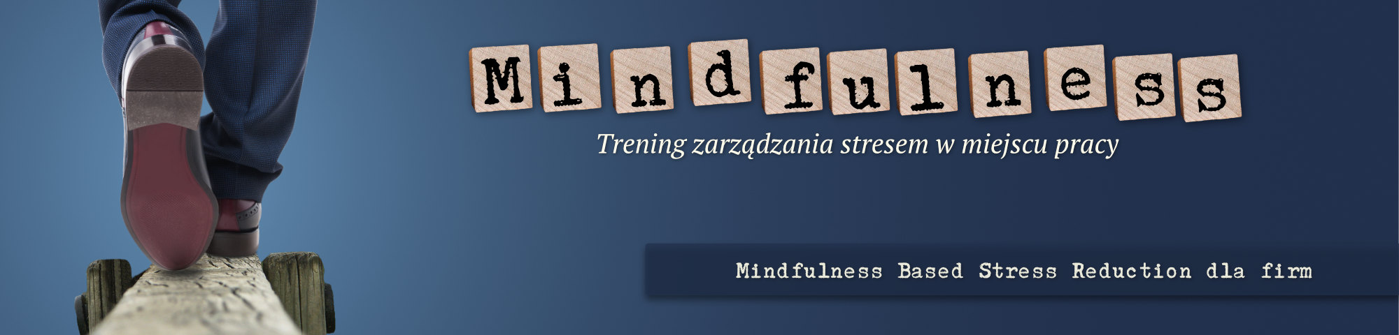 MBSR%20banner%20biznes1